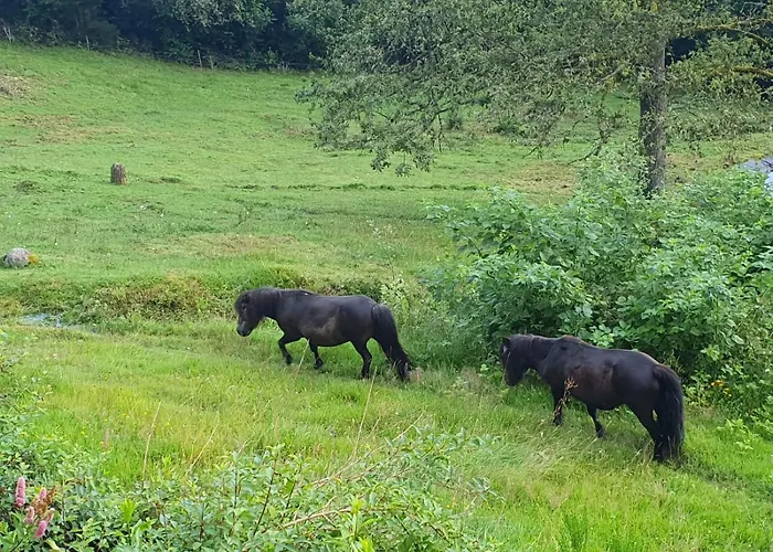 Gite Au Bout Des Mynes Avec Vue Panoramique
