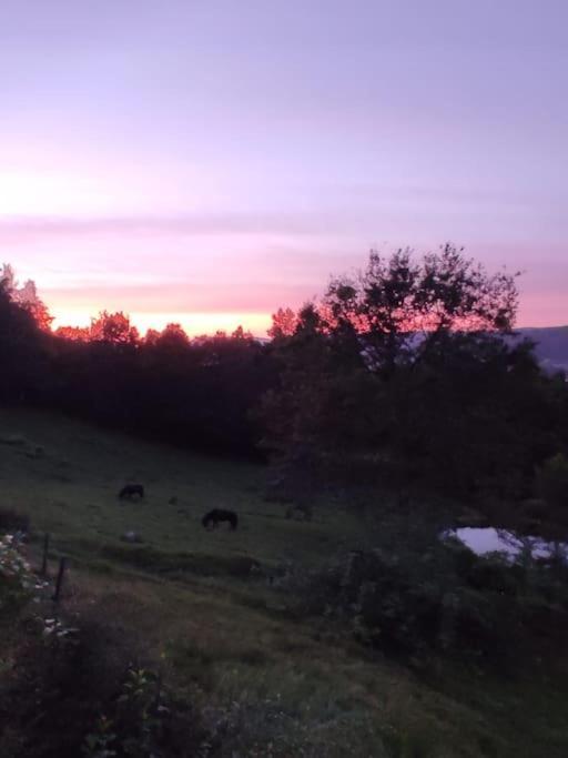 Au Bout Des Mynes Avec Vue Panoramique
