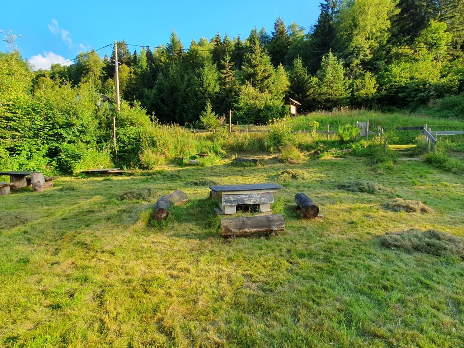 Au Bout Des Mynes Avec Vue Panoramique Ferienhaus Le Thillot