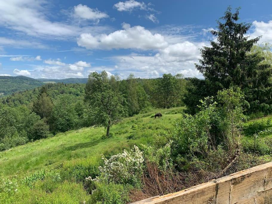 Au Bout Des Mynes Avec Vue Panoramique *